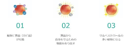 サルベストロールプラチナム2000