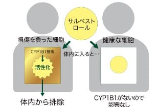 サルベストロールプラチナム2000