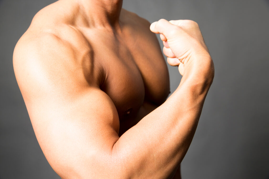 【医師監修】筋肉増強に必要なテストステロンの基礎と正しい補充療法｜神田西口クリニック